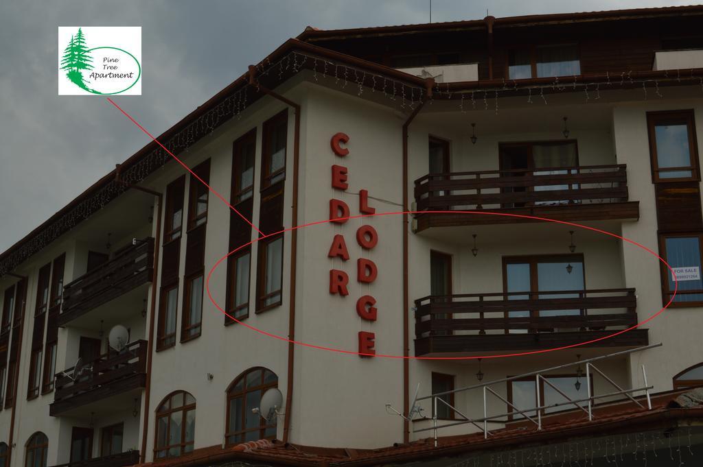 Pine Tree Apartment D34 Bansko Ngoại thất bức ảnh