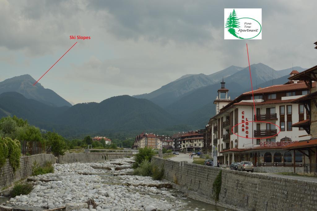 Pine Tree Apartment D34 Bansko Ngoại thất bức ảnh